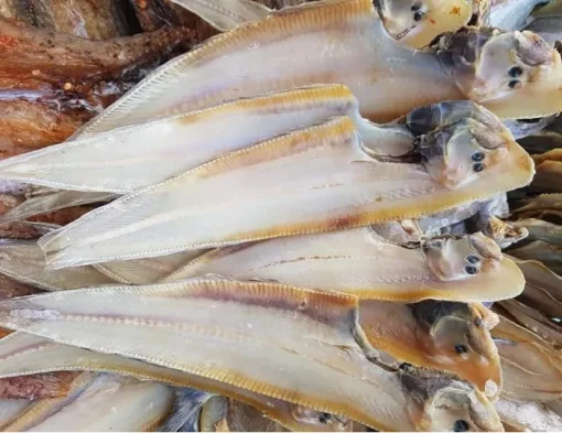 Khô cá lưỡi trâu