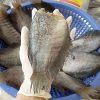 Khô cá sặc